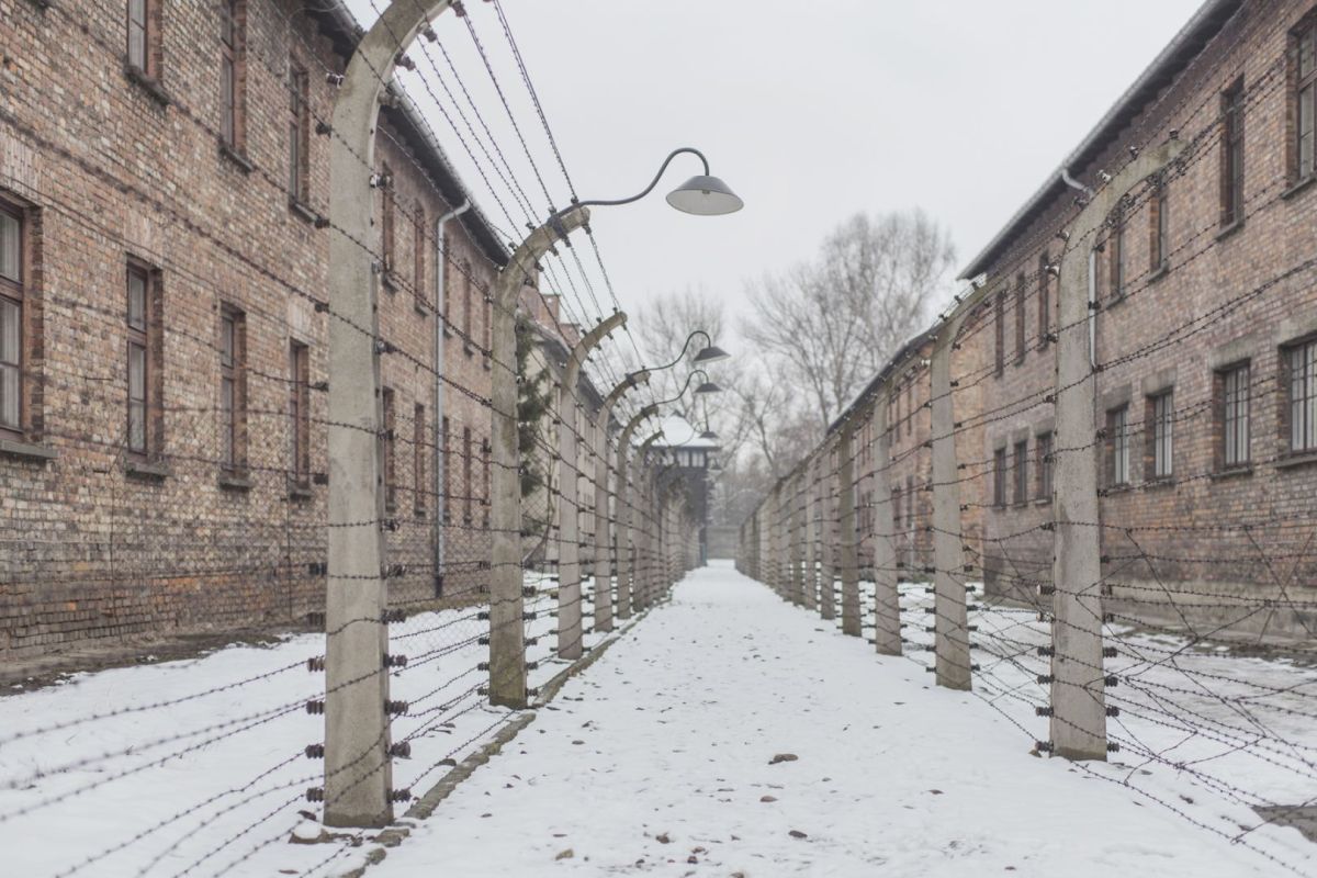 05_Auschwitz-Birkenau.jpg