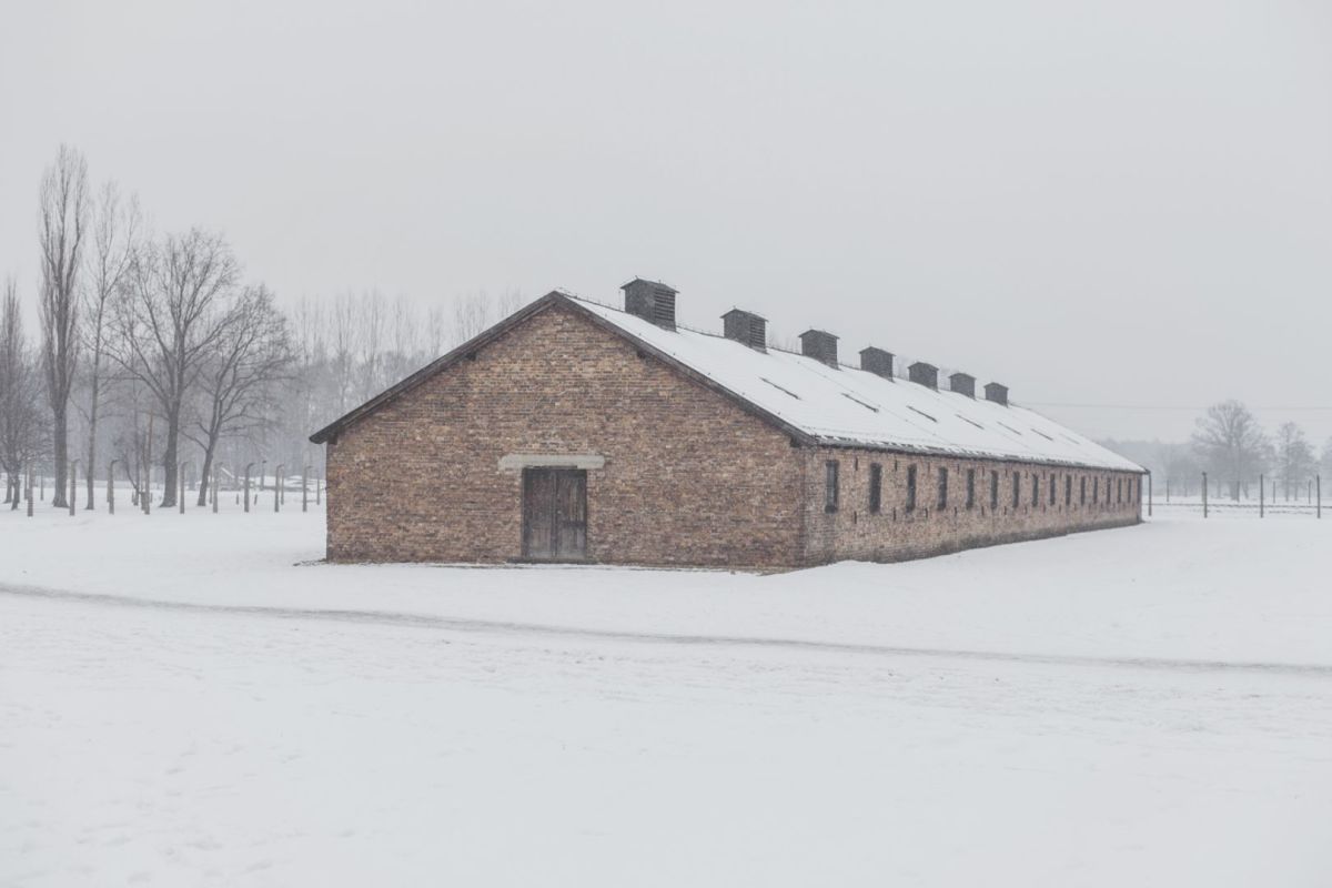 10_Auschwitz-Birkenau.jpg