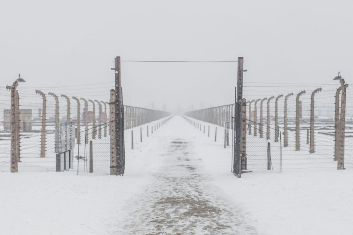 06_Auschwitz-Birkenau.jpg