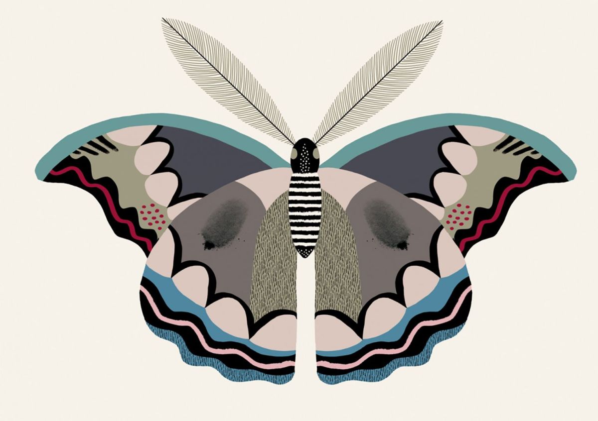 butterfly1.1-640x451@2x.jpg