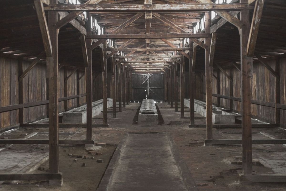 11_Auschwitz-Birkenau.jpg